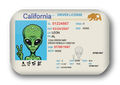 California Alien Driver License Souvenir Magnet